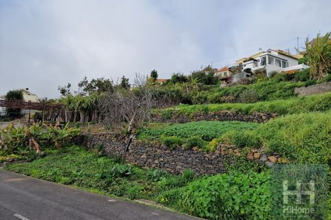 Helårsgrund i Ribeira Brava, Madeira, Ribeira Brava - € 120.000 | Ref: HH_2745MD26 - foto 8