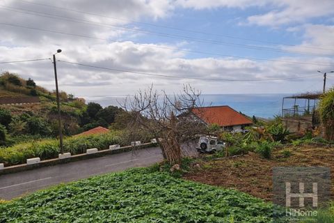 Helårsgrund i Ribeira Brava, Madeira, Ribeira Brava - € 120.000 | Ref: HH_2745MD26 - foto 15