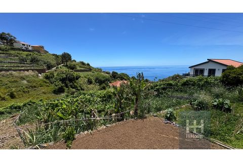 Helårsgrund i Ribeira Brava, Madeira, Ribeira Brava - € 120.000 | Ref: HH_2745MD26 - foto 17