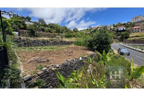 Helårsgrund i Ribeira Brava, Madeira, Ribeira Brava - € 120.000 | Ref: HH_2745MD26 - foto 23