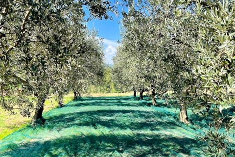 Villa a Montecastrilli, Terni, Montecastrilli - € 640.000 | Ref: MONTECASTRILLI20-1 - foto 33