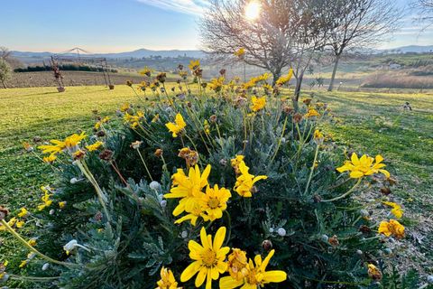Villa a Montecastrilli, Terni, Montecastrilli - € 640.000 | Ref: MONTECASTRILLI20-1 - foto 48