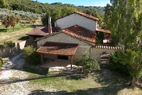 Villa i Amelia, Terni, Amelia - € 790.000 | Ref: AMELIA07100 - foto 4