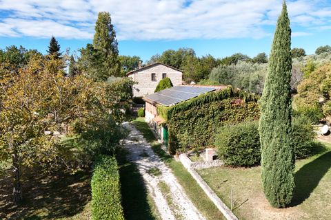 Villa i Amelia, Terni, Amelia - € 790.000 | Ref: AMELIA07100 - foto 5