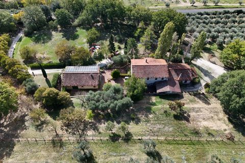 Villa i Amelia, Terni, Amelia - € 790.000 | Ref: AMELIA07100 - foto 6