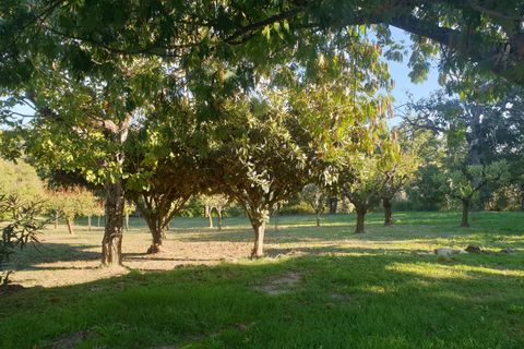 Villa i Amelia, Terni, Amelia - € 790.000 | Ref: AMELIA07100 - foto 42
