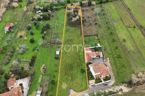 Helårsgrund i Antuzede e Vil de Matos, Coimbra, Antuzede e Vil de Matos - € 65.000 | Ref: ZMPT585085 - foto 1