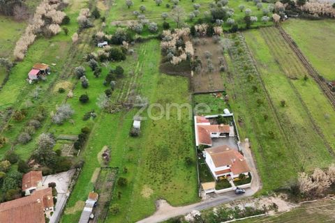 Helårsgrund i Antuzede e Vil de Matos, Coimbra, Antuzede e Vil de Matos - € 65.000 | Ref: ZMPT585085 - foto 5