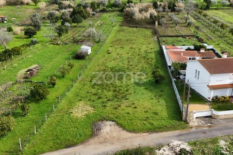 Helårsgrund i Antuzede e Vil de Matos, Coimbra, Antuzede e Vil de Matos - € 65.000 | Ref: ZMPT585085 - foto 8
