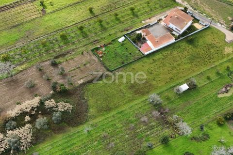 Helårsgrund i Antuzede e Vil de Matos, Coimbra, Antuzede e Vil de Matos - € 65.000 | Ref: ZMPT585085 - foto 10