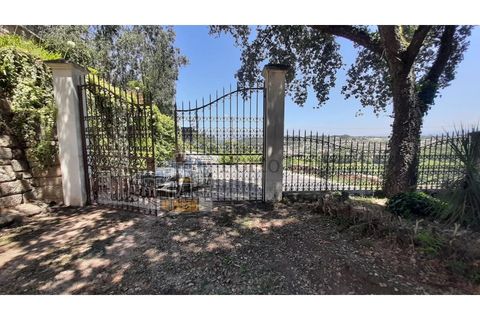 Erhvervsejendom i Agueda, Aveiro, Agueda - € 8.500.000 | Ref: PC_10941 - foto 5