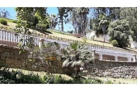 Erhvervsejendom i Agueda, Aveiro, Agueda - € 8.500.000 | Ref: PC_10941 - foto 7