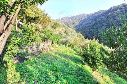 Villa a Rapallo, Genoa, Rapallo - € 195.000 | Ref: 618DV - foto 18
