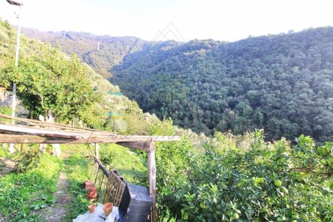 Villa a Rapallo, Genoa, Rapallo - € 195.000 | Ref: 618DV - foto 27