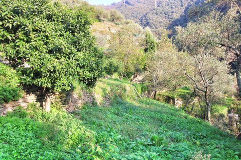Villa a Rapallo, Genoa, Rapallo - € 195.000 | Ref: 618DV - foto 30