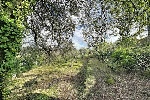 Villa a Tourves, Var, Tourves - € 950.000 | Ref: 1255 - foto 2