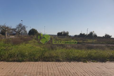 Helårsgrund i Entroncamento, Santarem, Entroncamento - € 40.000 | Ref: 2175 - foto 8