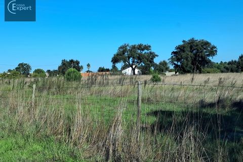 Terra a Torrao, Setubal, Torrao - € 195.000 | Ref: SÒL_188 - foto 2