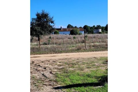 Terra a Torrao, Setubal, Torrao - € 195.000 | Ref: SÒL_188 - foto 3