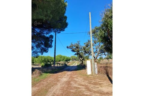 Terra a Torrao, Setubal, Torrao - € 195.000 | Ref: SÒL_188 - foto 4