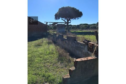 Terra a Torrao, Setubal, Torrao - € 195.000 | Ref: SÒL_188 - foto 5