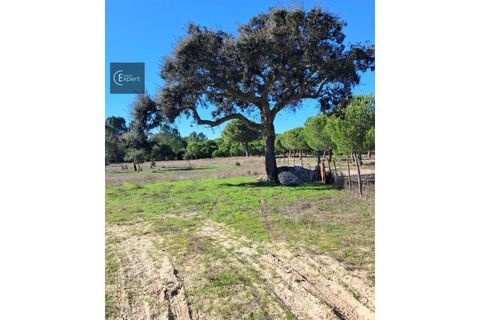 Terra a Torrao, Setubal, Torrao - € 195.000 | Ref: SÒL_188 - foto 7