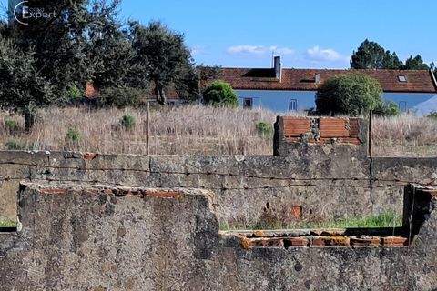 Terra a Torrao, Setubal, Torrao - € 195.000 | Ref: SÒL_188 - foto 8