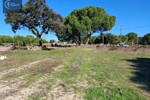Terra a Torrao, Setubal, Torrao - € 195.000 | Ref: SÒL_188 - foto 9