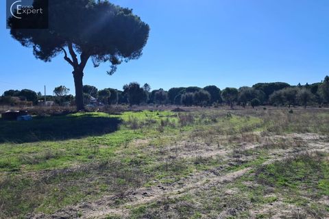Terra a Torrao, Setubal, Torrao - € 195.000 | Ref: SÒL_188 - foto 10