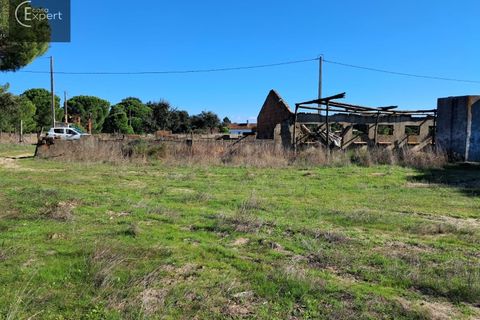 Terra a Torrao, Setubal, Torrao - € 195.000 | Ref: SÒL_188 - foto 11