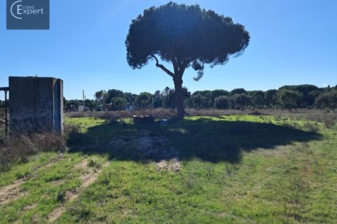 Terra a Torrao, Setubal, Torrao - € 195.000 | Ref: SÒL_188 - foto 13
