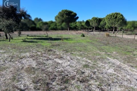 Terra a Torrao, Setubal, Torrao - € 195.000 | Ref: SÒL_188 - foto 14