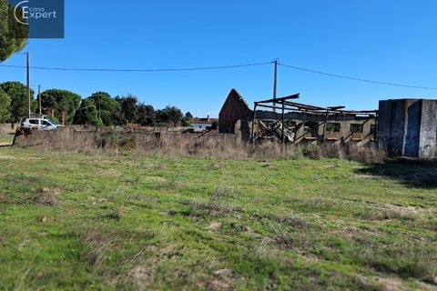 Terra a Torrao, Setubal, Torrao - € 195.000 | Ref: SÒL_188 - foto 15