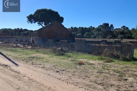 Terra a Torrao, Setubal, Torrao - € 195.000 | Ref: SÒL_188 - foto 17