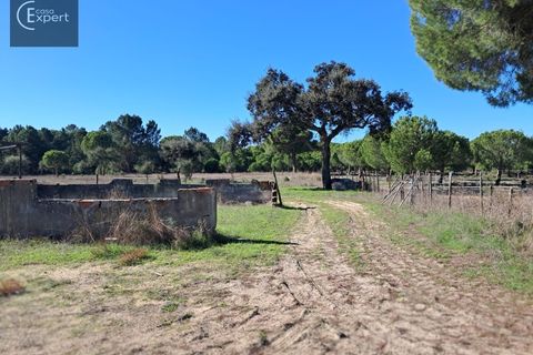 Terra a Torrao, Setubal, Torrao - € 195.000 | Ref: SÒL_188 - foto 18