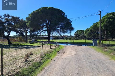 Terra a Torrao, Setubal, Torrao - € 195.000 | Ref: SÒL_188 - foto 19