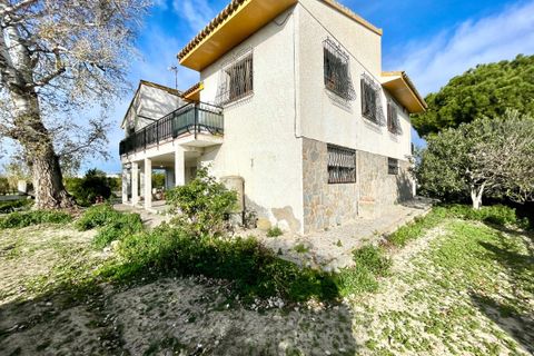 Villa a Benejuzar, Alicante, Benejuzar - € 238.000 | Ref: 764063 - foto 16