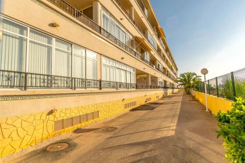 Leilighet i Playa Flamenca, Alicante, Playa Flamenca - € 195 000 | Ref: CM179 - foto 28