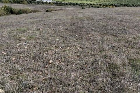 Helårsgrund i Beja, Beja, Beja - € 50.000 | Ref: 773250 - foto 2