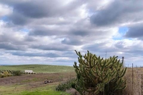 Helårsgrund i Beja, Beja, Beja - € 50.000 | Ref: 773250 - foto 3