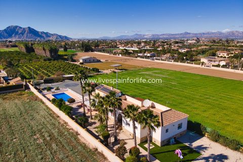 Landejendom i Catral, Alicante, Catral - € 369.000 | Ref: CAT PL - foto 4