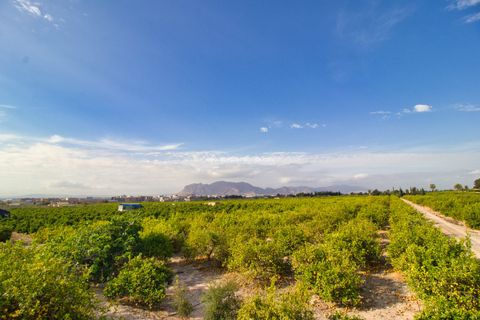 Terra a Albatera, Alicante, Albatera - € 224.000 | Ref: Alba JMP - foto 2