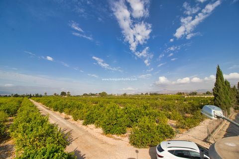 Terra a Albatera, Alicante, Albatera - € 224.000 | Ref: Alba JMP - foto 4