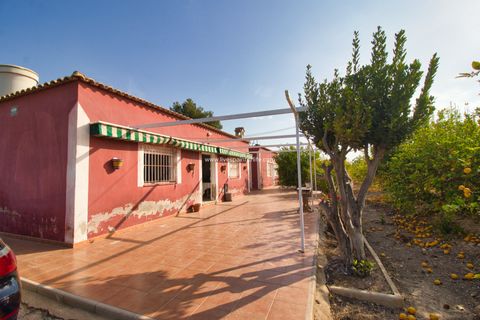 Terra a Albatera, Alicante, Albatera - € 224.000 | Ref: Alba JMP - foto 6