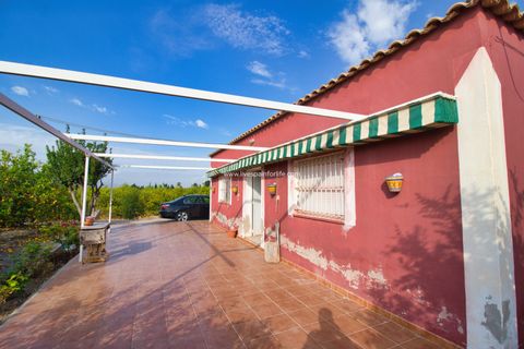 Terra a Albatera, Alicante, Albatera - € 224.000 | Ref: Alba JMP - foto 7