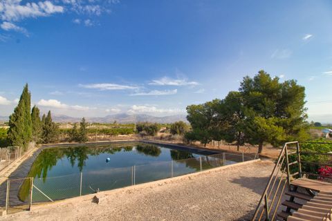 Terra a Albatera, Alicante, Albatera - € 224.000 | Ref: Alba JMP - foto 12