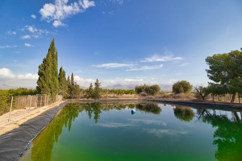 Terra a Albatera, Alicante, Albatera - € 224.000 | Ref: Alba JMP - foto 13