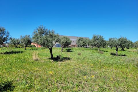 Villa i Beziers, Herault, Beziers - € 2.467.500 | Ref: 07016 - foto 14