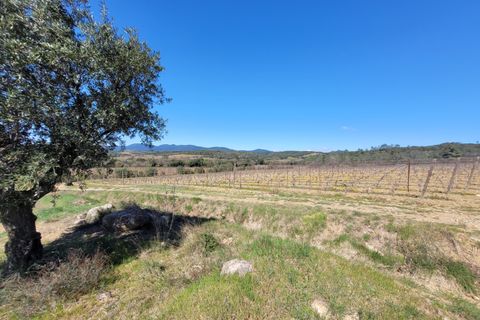 Villa i Beziers, Herault, Beziers - € 2.467.500 | Ref: 07016 - foto 18