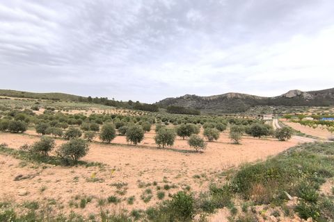 Landejendom i Jumilla, Murcia, Jumilla - € 39.990 | Ref: 70038-c26 - foto 3
